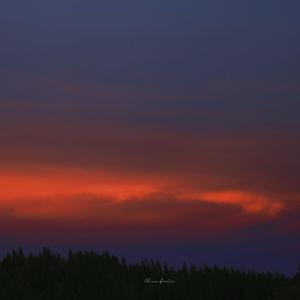 仙踪林小罗莉精品HD
