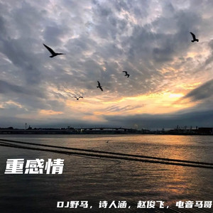 仙踪林小罗莉精品HD
